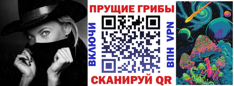 Псилоцибиновые грибы Cubensis наркотики Берёзовка